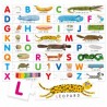 Alphabet Tactile Montessori | K'Ado Mino