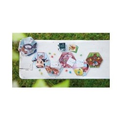 Festin de mouches, qui ose gagne! | K'Ado Mino