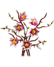 Branches de magnolia LEGO Botanicals | K'Ado Mino