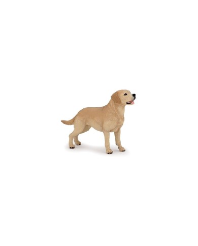 chien Labrador - Papo | K'Ado Mino