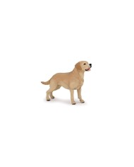 chien Labrador - Papo | K'Ado Mino