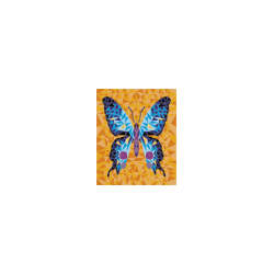 Janod - Coffret peinture par numéro - Insectes | K'Ado Mino