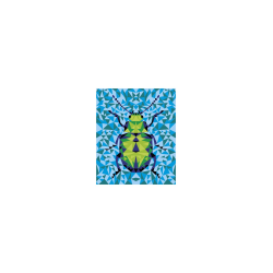 Janod - Coffret peinture par numéro - Insectes | K'Ado Mino