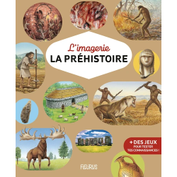 La préhistoire | K'Ado Mino