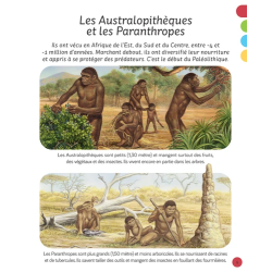 La préhistoire | K'Ado Mino
