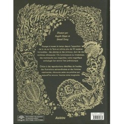 L'anthologie illustrée des dinosaures incroyables et