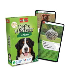 Défis nature chiens | K'Ado Mino