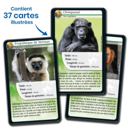 Défis Nature - Singes et autres primates | K'Ado Mino