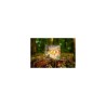 Jeu The Vale of Eternity