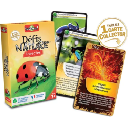 Défis nature Insecte -Bioviva | K'Ado Mino