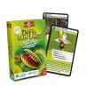Défis Nature Bioviva - Super pouvoirs des plantes
