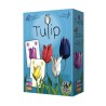 Tulip | K'Ado Mino
