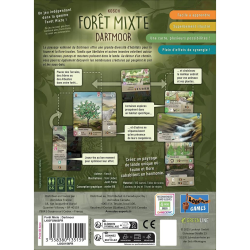 Forêt Mixte : Dartmoor | K'Ado Mino