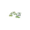 Jeu Living forest | K'Ado Mino