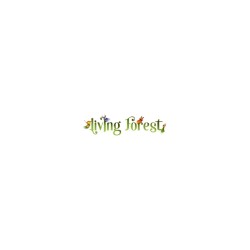 Jeu Living forest | K'Ado Mino