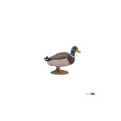 Canard colvert PAPO | K'Ado Mino