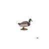 Canard colvert PAPO | K'Ado Mino