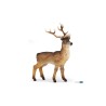 Cerf - PAPO | K'Ado Mino