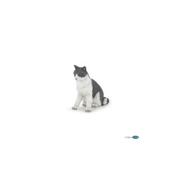 Chatte assise, PAPO | K'Ado Mino