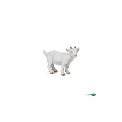 Chevreau blanc PAPO | K'Ado Mino