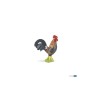 Coq gaulois PAPO | K'Ado Mino