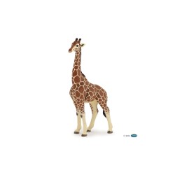 Girafe mâle PAPO | K'Ado Mino