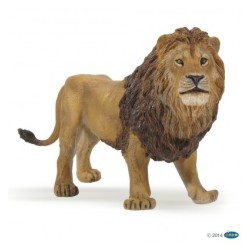 Lion PAPO | K'Ado Mino