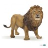 Lion PAPO | K'Ado Mino
