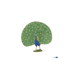 Paon Papo | K'Ado Mino