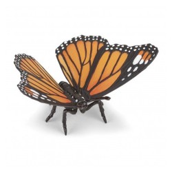 Papillon PAPO | K'Ado Mino