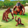 Playmobil City Life 6648 Deux orangs-outangs avec bébé