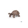 Tortue des Galápagos PAPO | K'Ado Mino