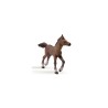 Figurine poulain anglo arabe - Papo | K'Ado Mino