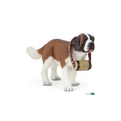 Saint-Bernard Saint-Bernard Papo | K'Ado Mino