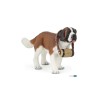 Saint-Bernard Saint-Bernard Papo | K'Ado Mino