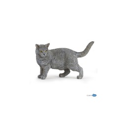 Chartreux Chartreux Papo | K'Ado Mino