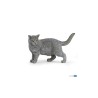 Chartreux Chartreux Papo | K'Ado Mino