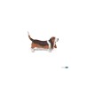 Basset hound Papo | K'Ado Mino