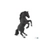 Cheval cabré noir | K'Ado Mino