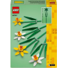 Lego®iconic 40747 - les Jonquilles | K'Ado Mino