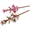 LEGO® 40725 - Les fleurs de cerisier - LEGO® Iconic