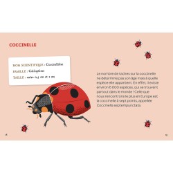 Mes Insectes à Déterrer | K'Ado Mino