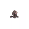 Peluche Chien pourri Ecole des loisirs - Moulin Roty