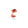 Puzzlo Nut - Djeco | K'Ado Mino